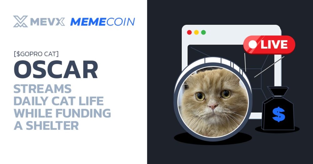 OSCAR ($GOPRO CAT) Streams Daily Cat Life While Funding A Shelter