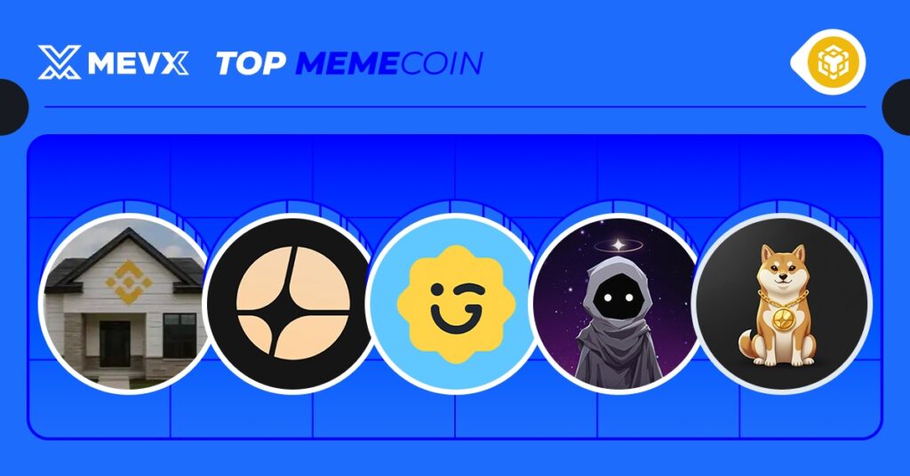 Top 5 Meme Coins on BNB Surging Today