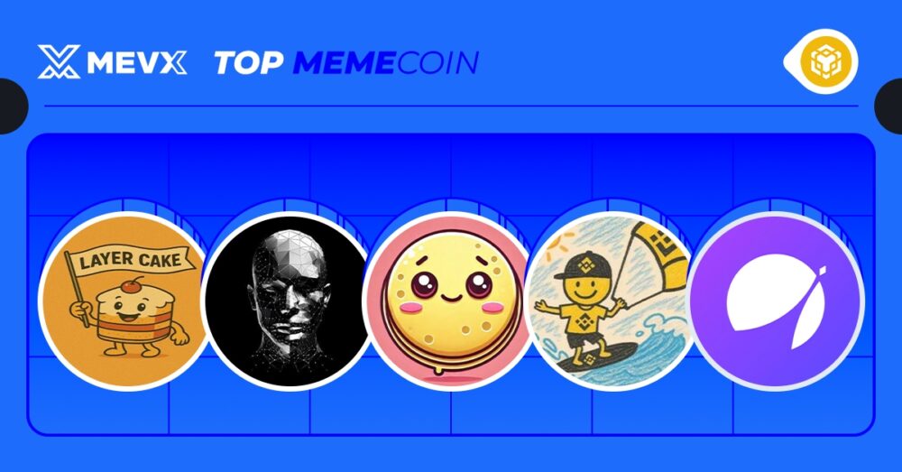Top 5 Meme Coins on BNB You Should Watch Today
